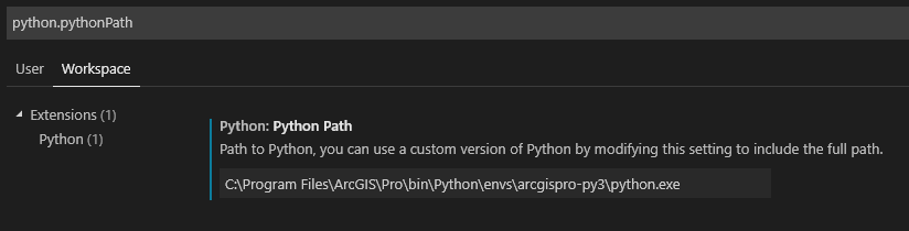 Bekanntmachen des ArcGIS Pro Python Pakets in VSC